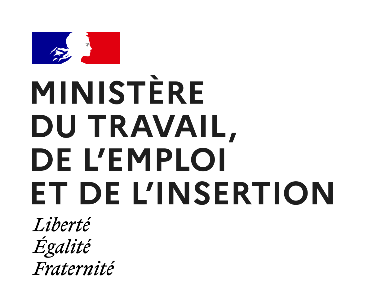 logo de Ministère du Travail, de l'Emploi et de l'Insertion
